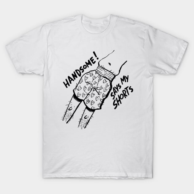 Handsome! T-Shirt by neilkohney